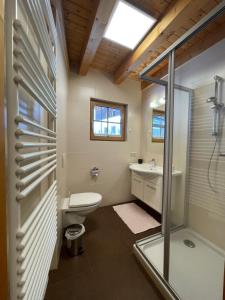 a bathroom with a toilet and a sink and a shower at Chalet Kleinbergsonne in Filzmoos