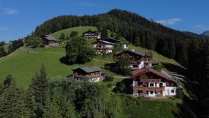 a group of houses on a green hill at Chalet Kleinbergsonne in Filzmoos
