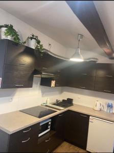 une cuisine avec des placards noirs, un évier et une lampe dans l'établissement Apartament Szafir 4b, à Rzeszów