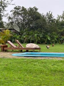 a picnic table and a bench and two chickens in a field at Pousada Charqueada Costa do Abolengo in Pelotas