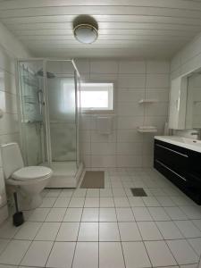 a bathroom with a shower and a toilet and a sink at Gardermoen House in Gardermoen