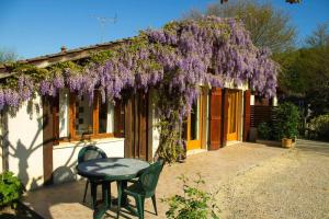 a wisteria hanging over a table in front of a house at Gite de la mousque in Castets