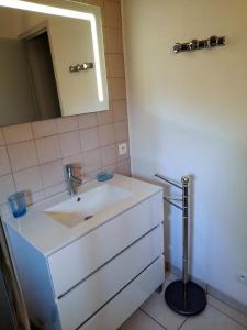 a bathroom with a white sink and a mirror at Gite de la mousque in Castets +15 photos