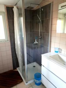 a shower with a glass door in a bathroom at Gite de la mousque in Castets