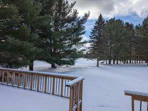 un patio cubierto de nieve con árboles y una valla en South Bay Runaway Cottage, en Lakefield