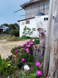 um jardim com flores rosas ao lado de um celeiro em Vida Playera em Punta Del Diablo