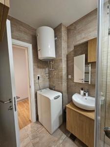 a bathroom with a white sink and a mirror at Apartman Oki in Belgrade