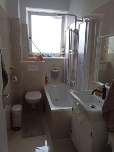 a bathroom with a toilet and a shower and a sink at Lovely 3-room condo in Berlin, lakes & city center in Berlin