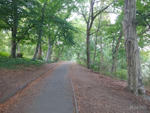 a dirt road with trees on both sides at Lovely 3-room condo in Berlin, lakes & city center in Berlin