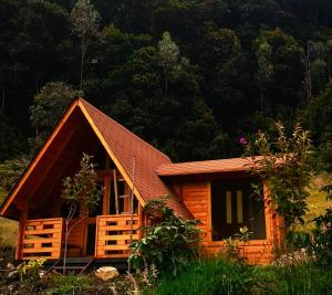 a cabin in the middle of a forest at Tybyn Geo Lodge in Arcabuco