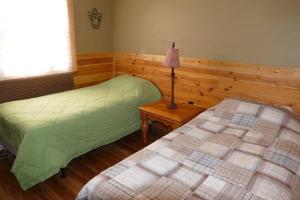 a bedroom with two beds and a lamp in it at Mountain Escape @ Deep Creek Lake in Oakland