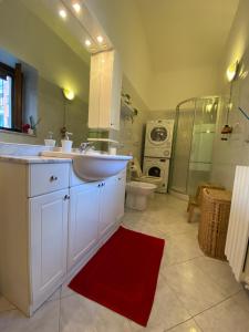 uma casa de banho com um lavatório, um WC e um chuveiro em Cozy home in the city centre em Turim