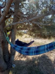 a blue hammock hanging from a tree at Vida Playera in Punta Del Diablo