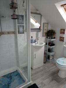 uma casa de banho com um chuveiro, um lavatório e um WC. em Marjune Guest House em Weymouth