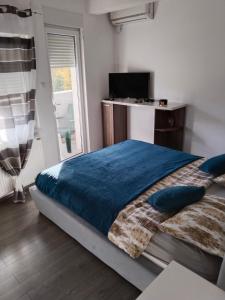 una camera con letto, TV e finestra di Apartman Harmony 2 a Banja Koviljača