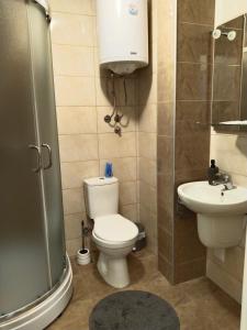 un piccolo bagno con servizi igienici e lavandino di Apartman Harmony 2 a Banja Koviljača