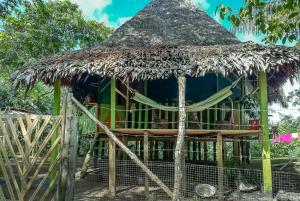 a bamboo hut with a thatched roof at MALOKA LODGE in Iquitos