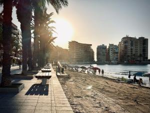 einen Strand mit Bänken und Palmen und dem Meer in der Unterkunft Playa del Cura, 2 Min zum Strand, Zentral, Kostenlos Parken in Torrevieja