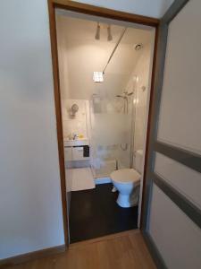 a small bathroom with a toilet and a shower at Logement 'la Hulotte'-10 min d'Auxerre-2h de Paris 