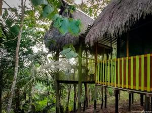 una casa amarilla con techo de paja y algunos árboles en MALOKA LODGE en Iquitos