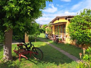 una bicicletta parcheggiata di fronte a una casa di B&B La corte di Stelio a Pisa