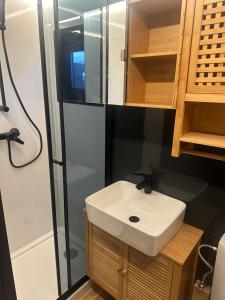 ein Badezimmer mit einem weißen Waschbecken und einer Dusche in der Unterkunft Premium Hausboot Blaue Lagune in Lübeck