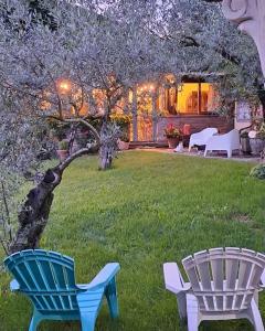 dos sillas y un árbol en un patio en Guest House: Casa dei Lillà, en Bellegra