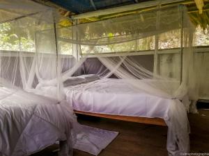 a bedroom with two beds with mosquito nets at MALOKA LODGE in Iquitos