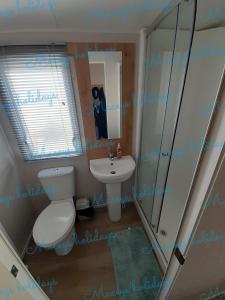 a bathroom with a toilet and a sink and a mirror at Pet friendly caravan in Walton on the Naze in Walton-on-the-Naze