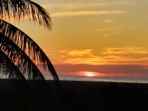 a sunset on the beach with a palm tree at CasaPiedra in Puerto Escondido