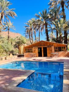 a resort with a swimming pool in front of palm trees at Camping auberge palmeraie d'amezrou in Zagora