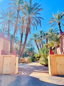 a palm tree lined street with palm trees in the background at Camping auberge palmeraie d'amezrou in Zagora