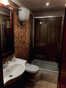 a bathroom with a sink and a toilet and a shower at Căsuța din livezi in Suceava