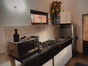 a kitchen with a microwave and a stove top oven at Căsuța din livezi in Suceava