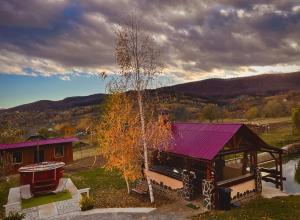 a house with a purple roof and a tree at Căsuța din livezi in Suceava
