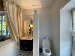 uma casa de banho com um WC, um lavatório e um espelho. em Duplex de charme à Lessy em Lessy