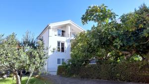 Budova, kde se apartmán nachází + 37 fotografií