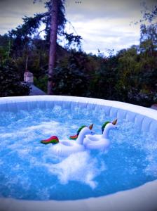 trzy gumowe kaczki w basenie z wodą w obiekcie Tóvölgy Privát Vendégház w mieście Pécsvárad