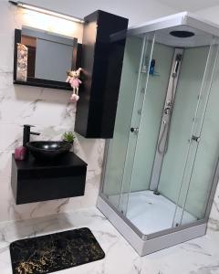 a bathroom with a shower with a sink and a mirror at Tóvölgy Privát Vendégház in Pécsvárad