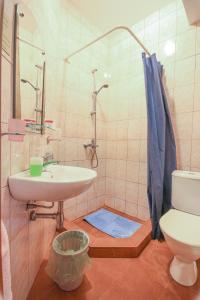 a bathroom with a sink and a toilet and a shower at Canny House in Saint Petersburg