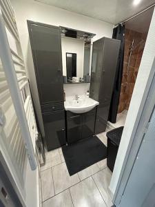 La salle de bains est pourvue d'un lavabo et d'un miroir. dans l'établissement Maison chez graz & virg, à Calais