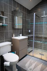 a bathroom with a toilet and a glass shower at Vineyard Country Cottage in Llanerch-Aeron
