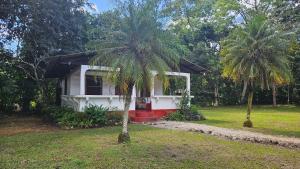 ein kleines Haus mit einer Palme davor in der Unterkunft Finca Ixobel in Ixobel