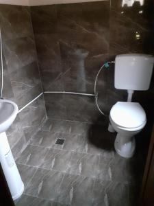 a bathroom with a toilet and a sink at Guesthouse Dioni in Valbonë