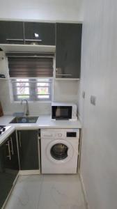 eine Küche mit einer Waschmaschine und einem Waschbecken in der Unterkunft Contemporary 1 bedroom apartment in awoyaya ibeju lekki in Awoyaya