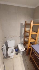 un bagno con un water e un lavandino di Departamento céntrico para 4 personas -Paz en Tandil- a Tandil