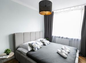 Säng eller sängar i ett rum på Nowogrodzka 78 - Apartament dla 4 osób - 200m od Szpitala Klinicznego na Lindleya - 1km do Dworca Centralnego - Wifi - Smart TV 45 cali