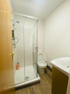 a bathroom with a shower and a toilet at CROKE PARK STUDIO in Dublin