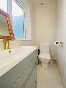 a bathroom with a toilet and a sink and a window at CROKE PARK STUDIO in Dublin