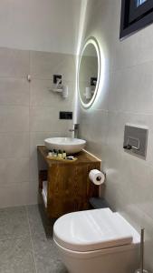 a bathroom with a sink and a toilet and a mirror at Meona Villa Bungalov in Ardeşen